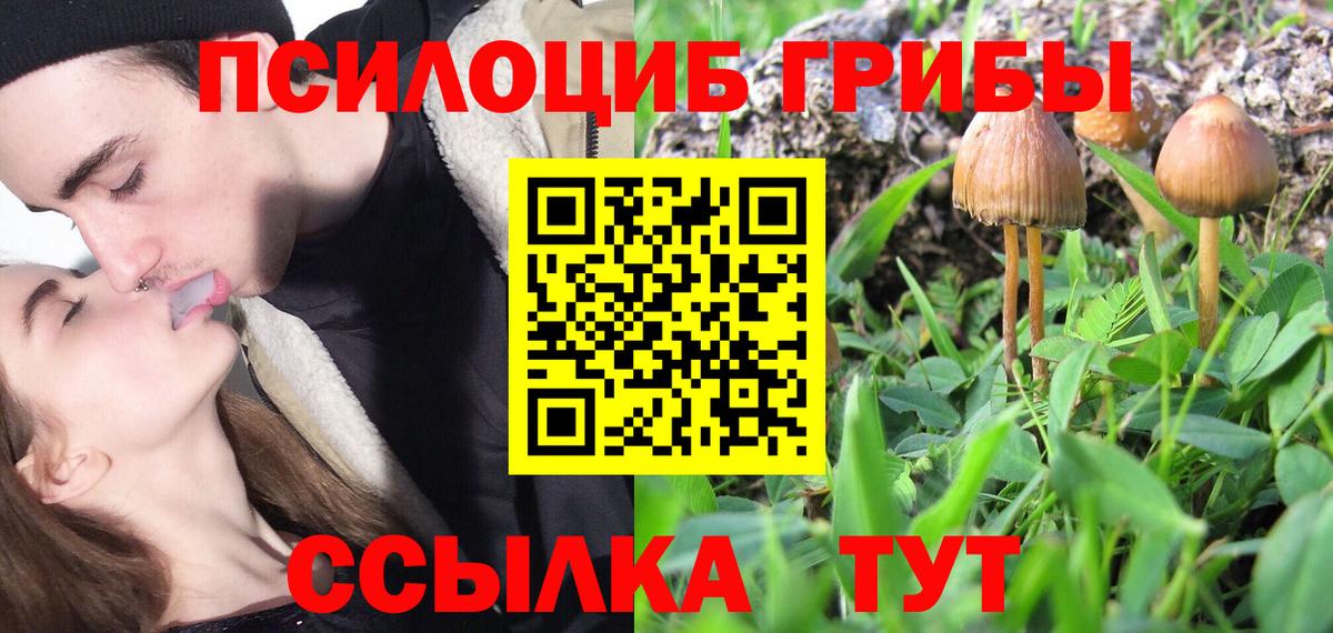Псилоцибиновые грибы Psilocybine cubensis  Галлюциногенные грибы Psilocybine cubensis  Асино  Вход с VPN 